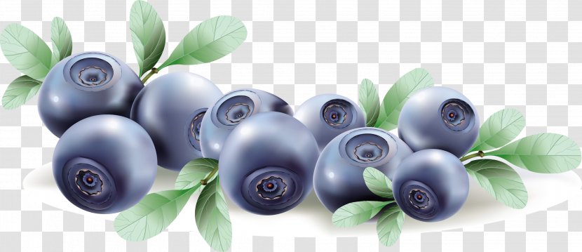 Blueberry Fruit Euclidean Vector Clip Art - Black Raspberry - Blueberries Transparent PNG