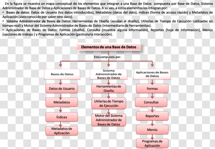 Database Management System Chemical Element Table - Integrity Transparent PNG