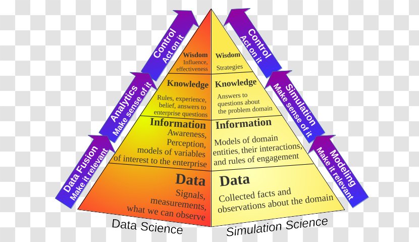 DIKW Pyramid Information Knowledge Management Business Intelligence - Uncle Fester Transparent PNG