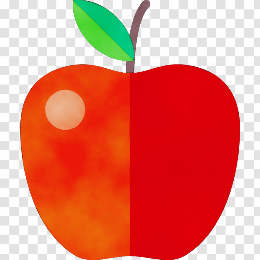 Orange Transparent PNG