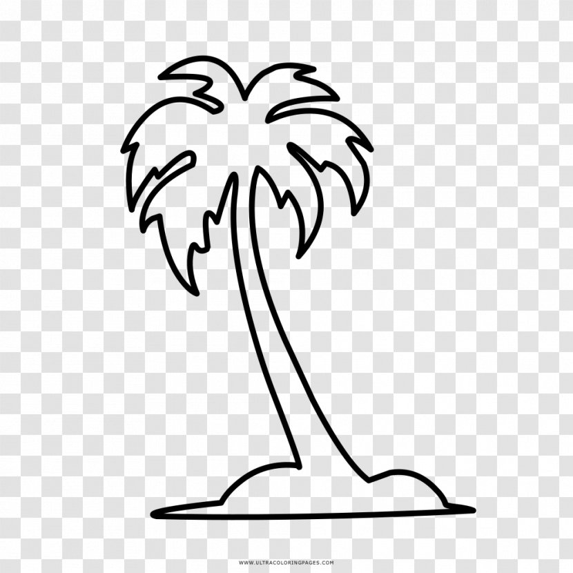 Coloring Book Drawing Arecaceae - Tree - Palm Transparent PNG