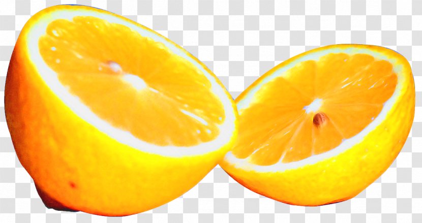 Cartoon Lemon - Citrus Fruit - Peel Kumquat Transparent PNG