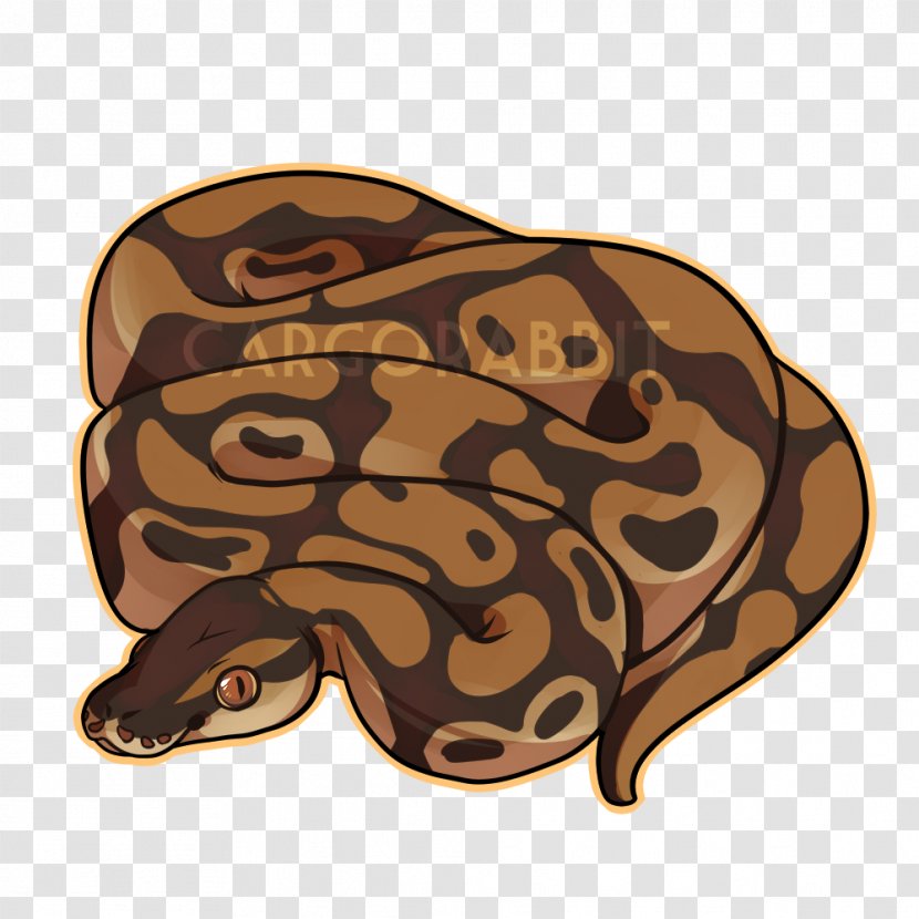 T-shirt Ball Python Snake Boa Constrictor Hoodie - Cuteness Transparent PNG