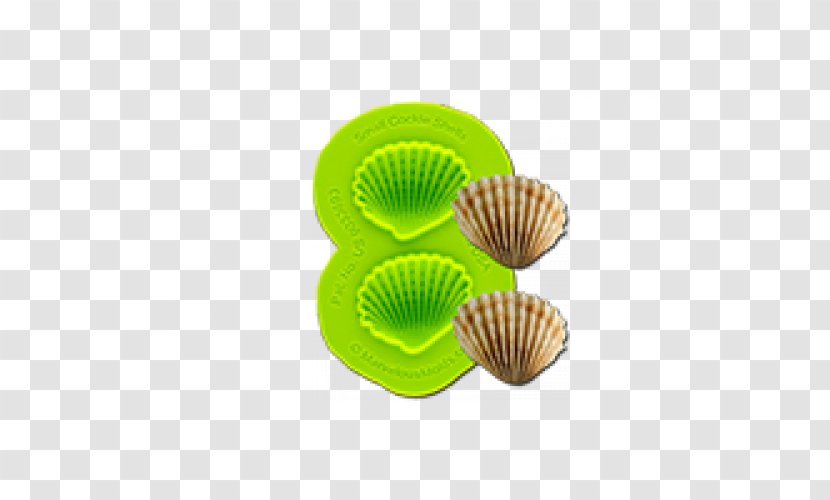 Cockle Mold Cupcake Muffin Seashell Transparent PNG