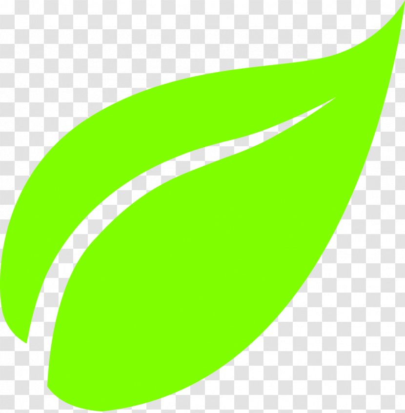 Green Tea White Masala Chai - Leaf Transparent PNG
