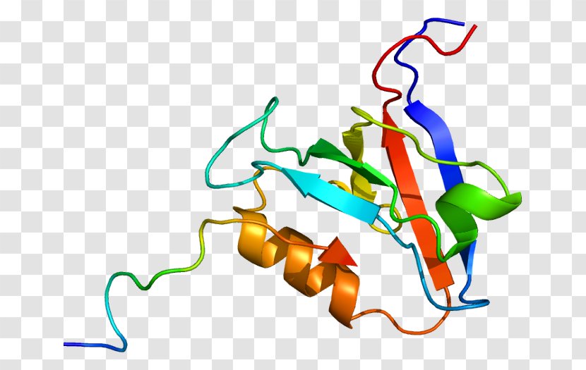 PTPN13 Gene Protein Tyrosine Phosphatase PTPN11 - Watercolor - Cartoon Transparent PNG