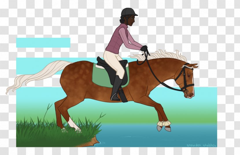 Hunt Seat Horse Stallion Bridle Dressage - Equestrianism Transparent PNG