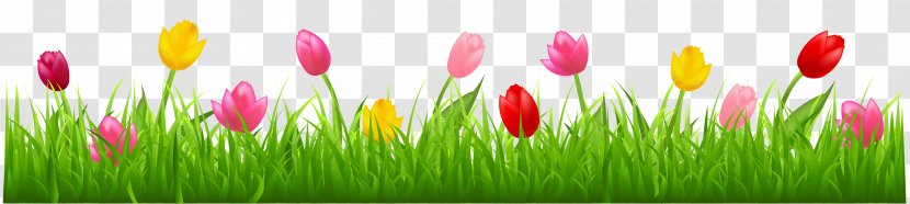 Parrot Tulips Flower Clip Art - Close Up - Grass With Colorful Clipart Transparent PNG