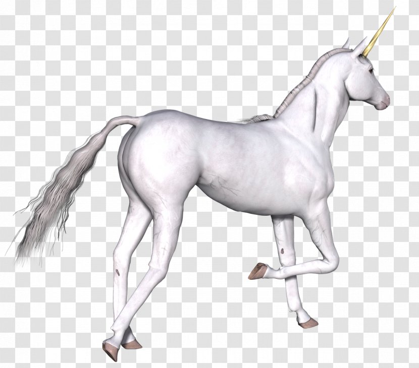 Unicorn Earth's Survivors Apocalypse Horse Drawing - Tail Transparent PNG
