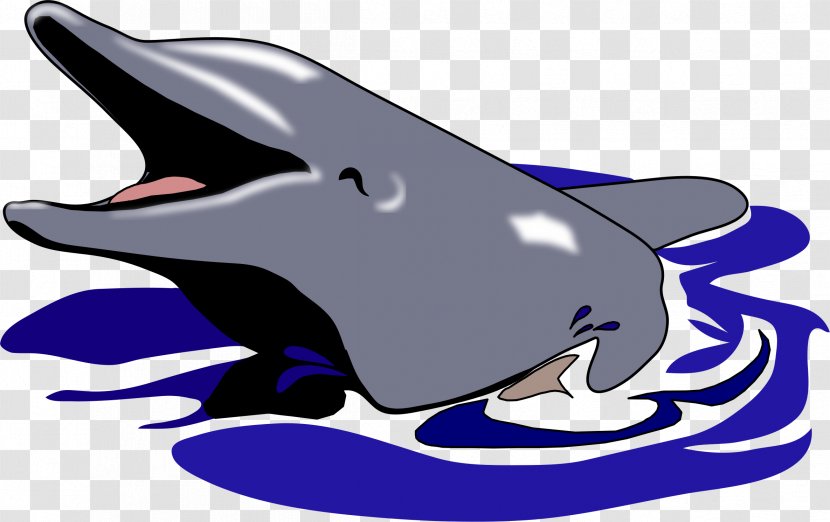 Common Bottlenose Dolphin Tucuxi Clip Art - Fauna Transparent PNG