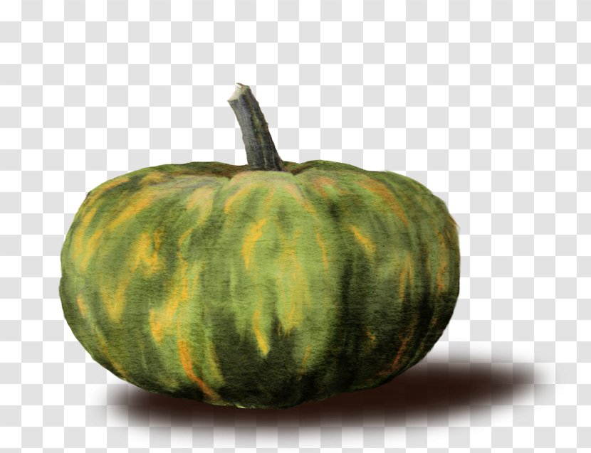 Pumpkin May Gourd Calabaza Winter Squash - Halloween - Verdura Transparent PNG