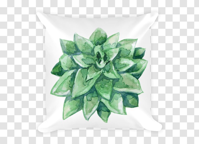 Succulent Plant Echeveria Cactaceae - Suculent Transparent PNG