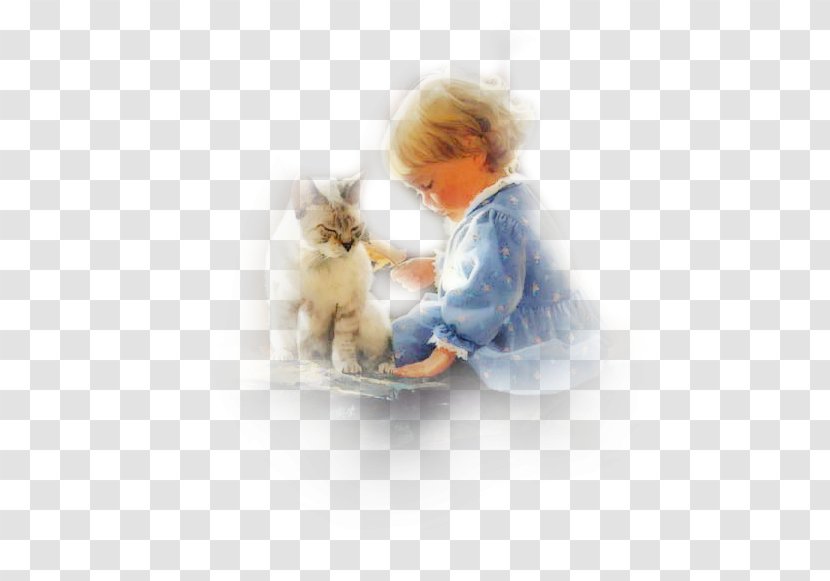 橘子不是唯一的水果 Kitten Child Blog Writer - Belle Baby Transparent PNG