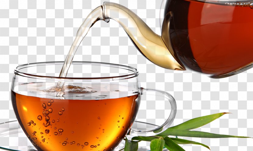 Darjeeling Tea Green White Rooibos - Herb Transparent PNG