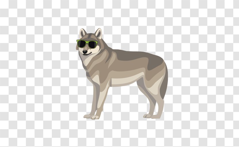 Saarloos Wolfdog Czechoslovakian Siberian Husky Dog Breed - Craniofacial Surgery Transparent PNG