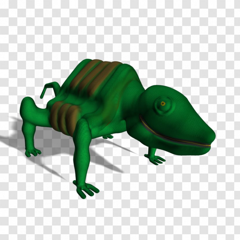 Chameleons Frog Lizard - Reptile Transparent PNG