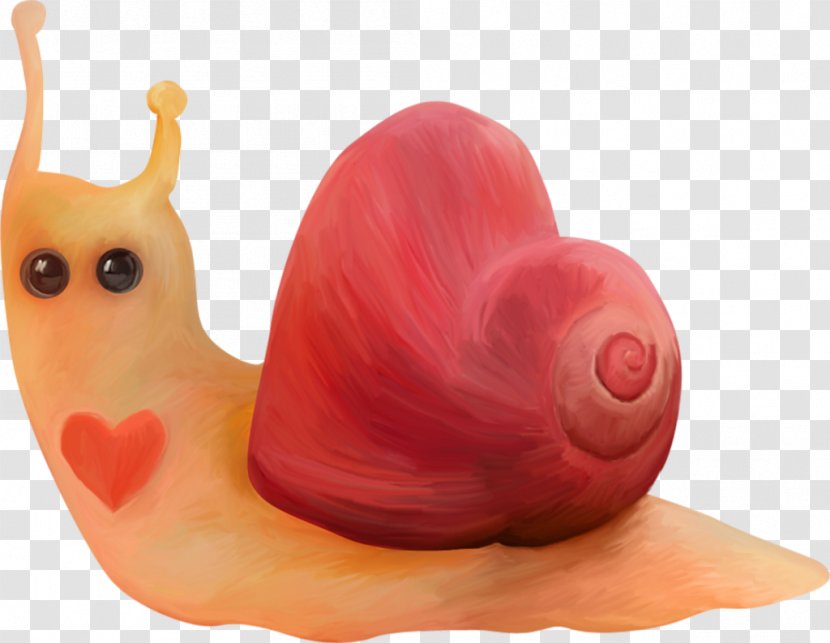 Snail - Snails And Slugs - Heart Transparent PNG