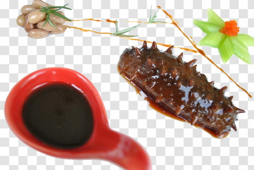 Sea Cucumber Food Pseudocolochirus Dish Eating - Stock Transparent PNG