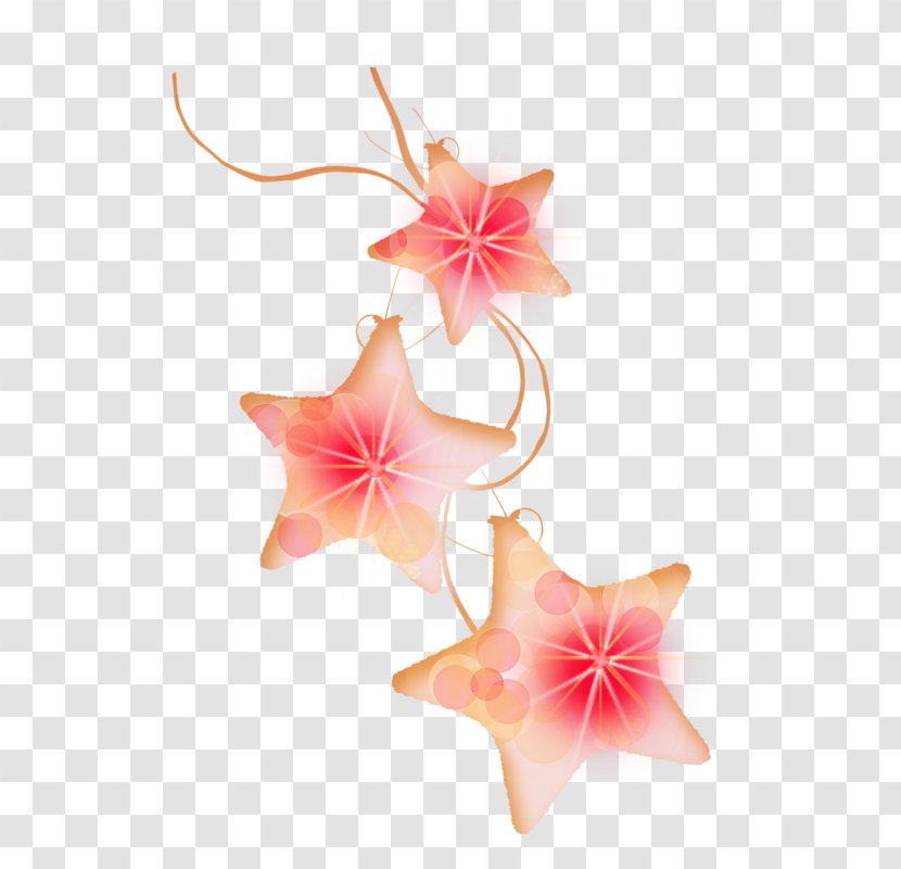 Pink Data - Flower - Star Transparent PNG