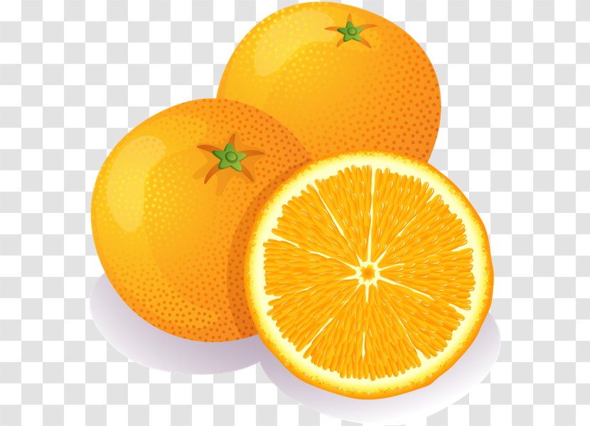 Orange Fruit Clip Art - Bitter Transparent PNG