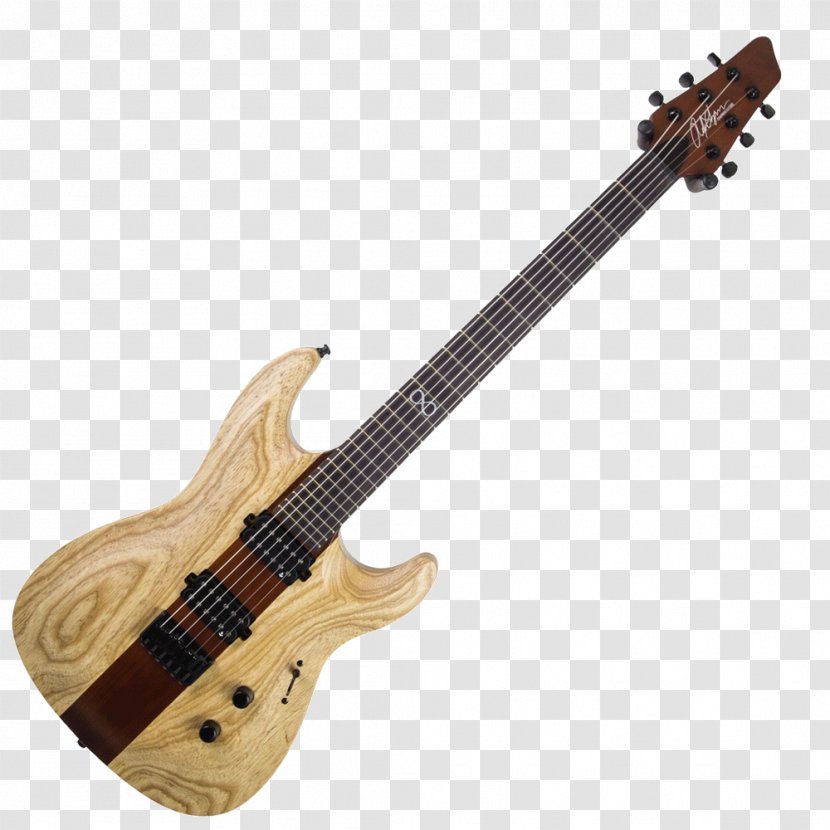Bass Guitar Electric Acoustic Aria - Tree Transparent PNG