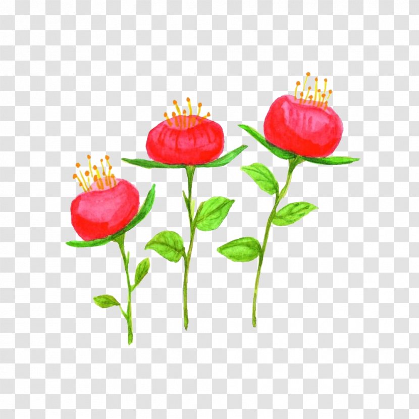 Image Illustration Flower Design - Flowerpot - Delicate Transparent PNG