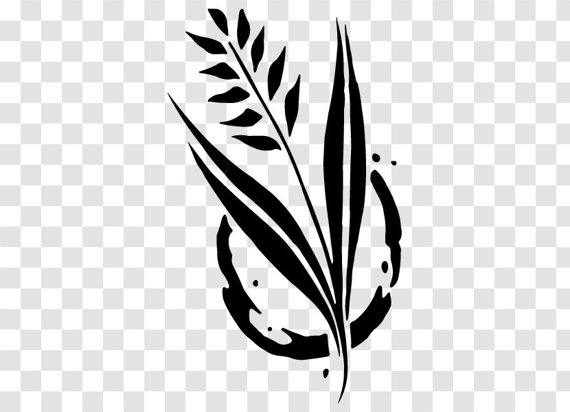 Drawing Wheat Plant Stem Ear Clip Art - Text Transparent PNG