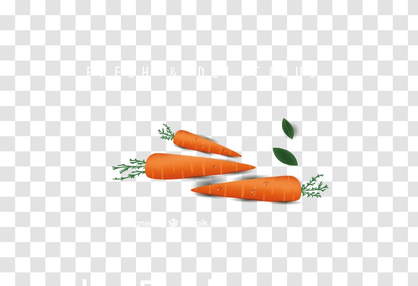 Baby Carrot Cake Vegetable Transparent PNG