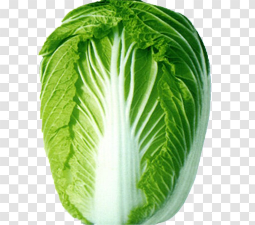 Napa Cabbage Choy Sum Chinese Vegetable - Romaine Lettuce - A Transparent PNG