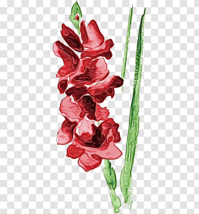 Flower Gladiolus Plant Cut Flowers Tulip Transparent PNG