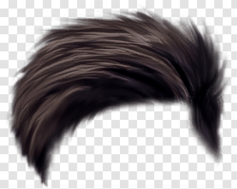 Hair Cartoon - Ear - Costume Feathered Transparent PNG