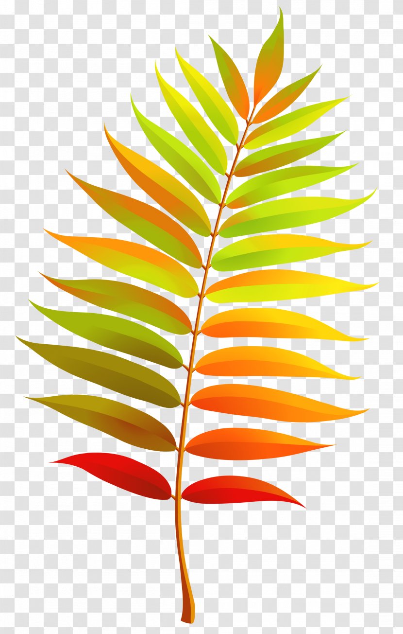 Leaf Clip Art - Colorful Transparent Fall Clipart Transparent PNG