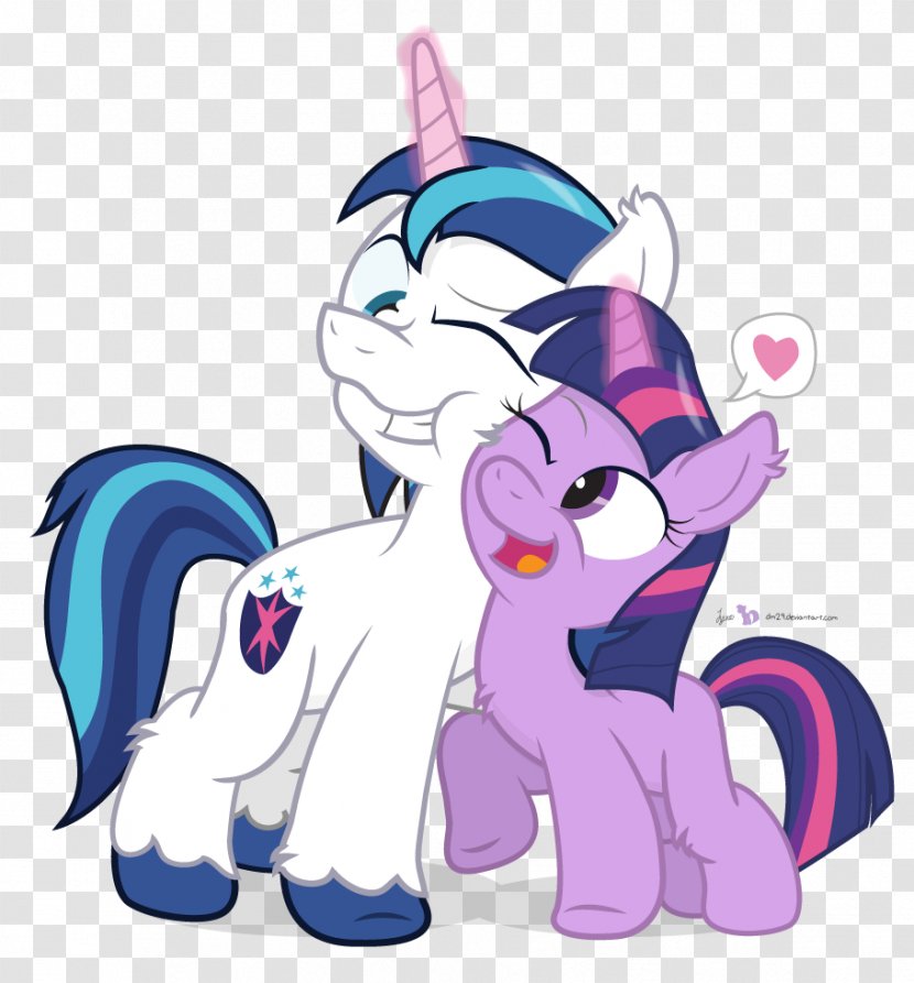 Pony Princess Cadance Clip Art - Flower - Brother Sister Transparent PNG