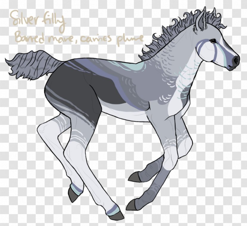 Mule Foal Stallion Colt Mane - Mustang Transparent PNG
