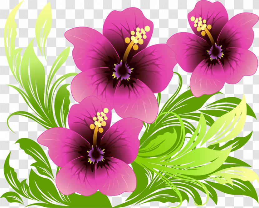 Flower Purple Violet - Family - Spring Flowers Transparent PNG