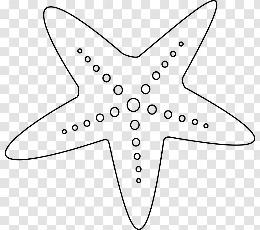 Starfish Black And White Clip Art - Wing - Sea Star Transparent PNG