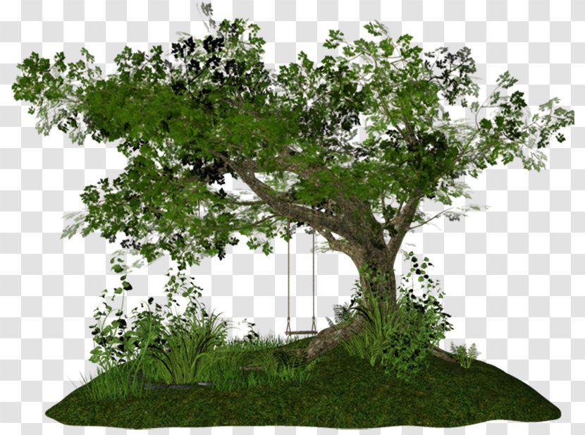 Tree PhotoScape Clip Art - Tinypic Transparent PNG