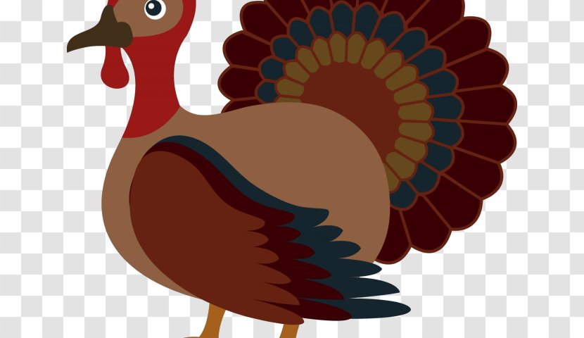 Thanksgiving Turkey - Tail Beak Transparent PNG