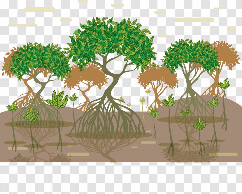 Tropical And Subtropical Moist Broadleaf Forests Mangrove Euclidean Vector Tree - Forest - Root Transparent PNG