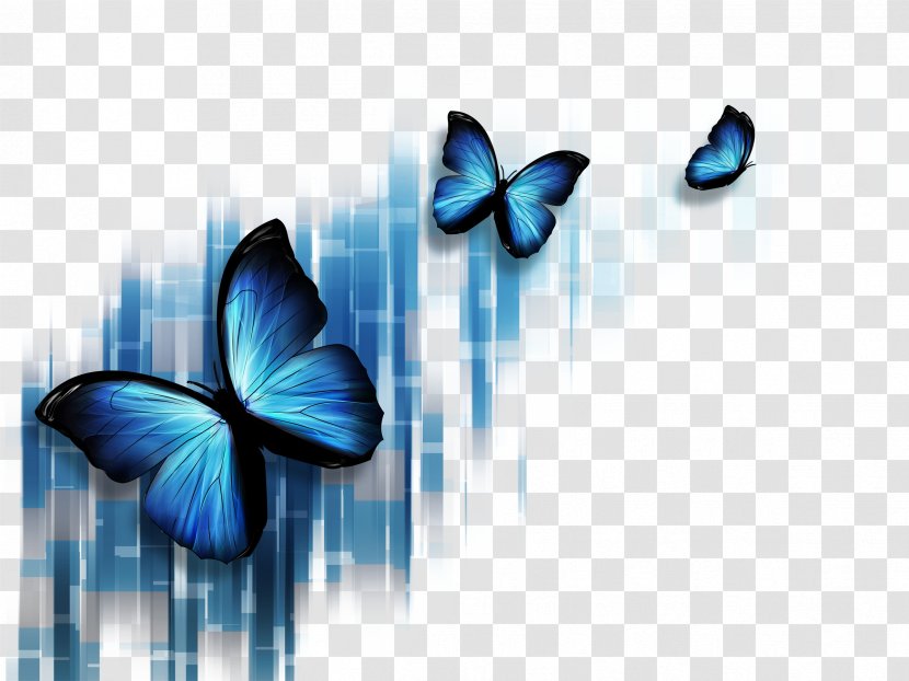 Butterfly Blue Stock Photography Microsoft PowerPoint Illustration - Invertebrate - Colorful Transparent PNG