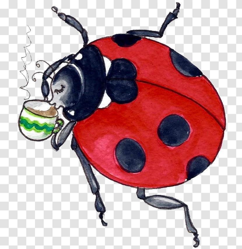 Insect Lady Bird - Ladybird Transparent PNG