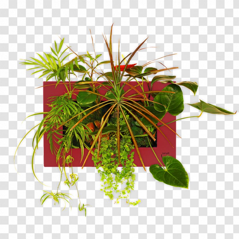 Flowerpot Leaf Houseplant Herb Transparent PNG