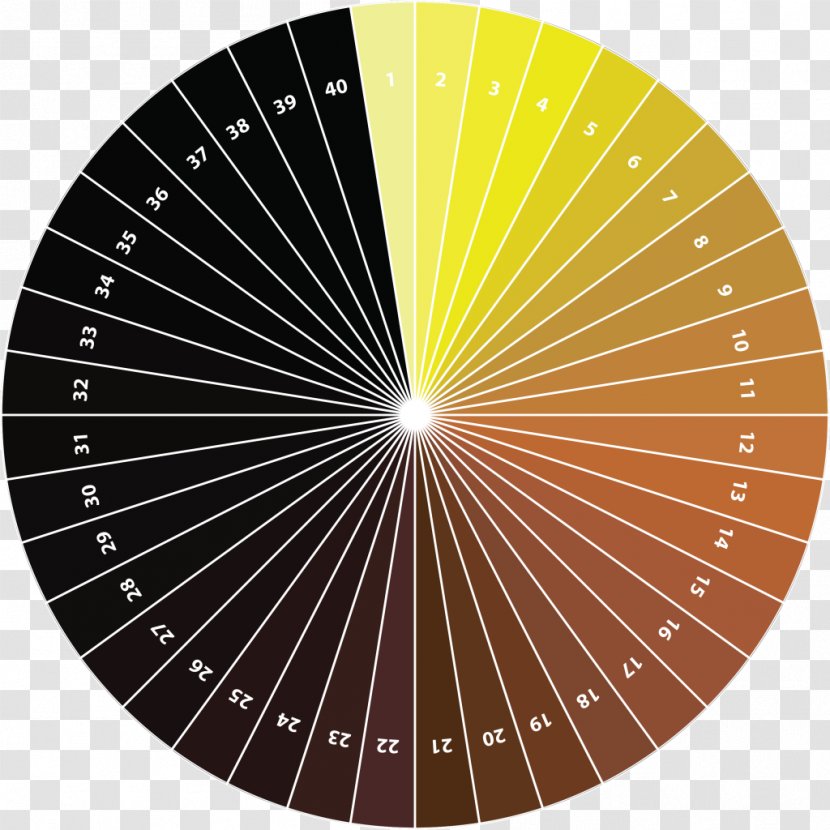 Color Wheel Pastel Tints And Shades - Paint - Standard Reference Method Transparent PNG