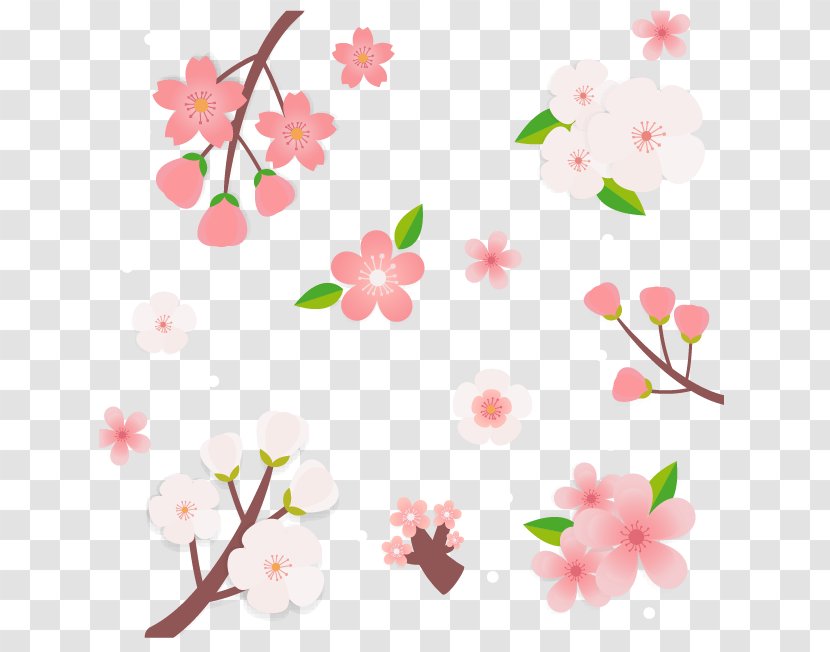 Cherry Blossom Cerasus - Fresh Cartoon Transparent PNG