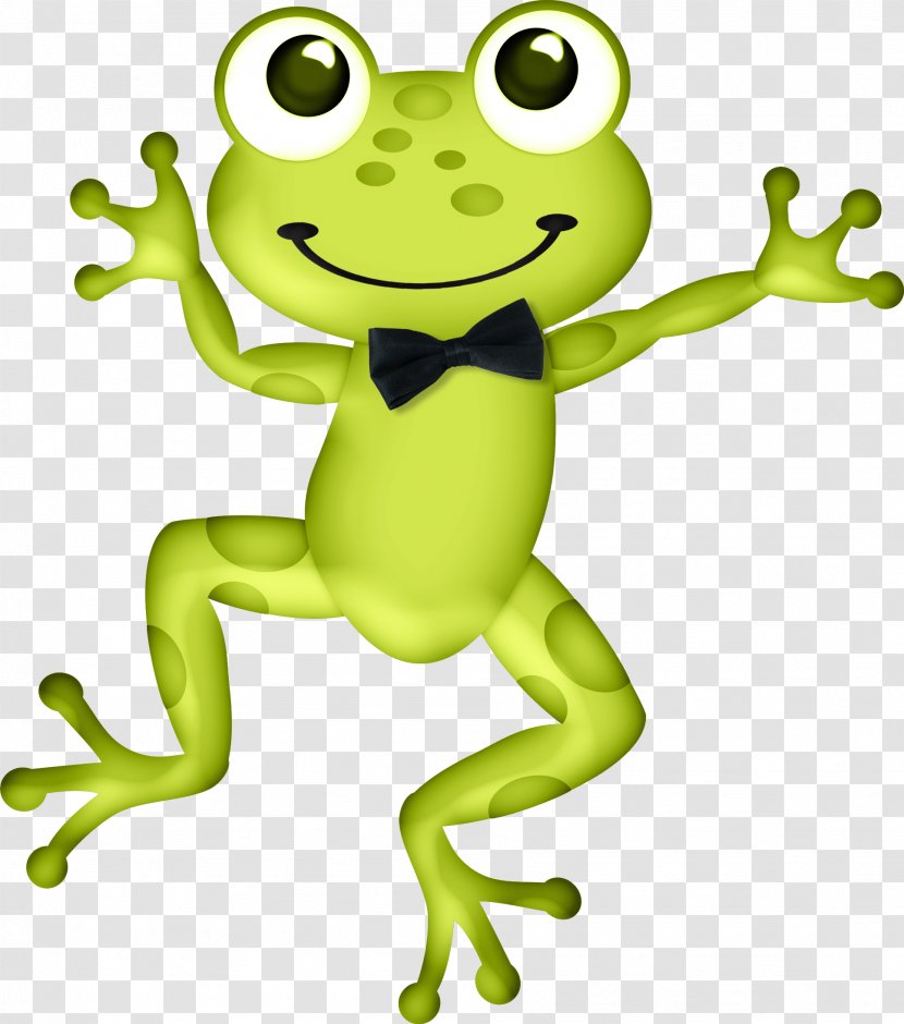 Drawing VKontakte Name Frog Clip Art - Toad - Homo Sapiens Transparent PNG