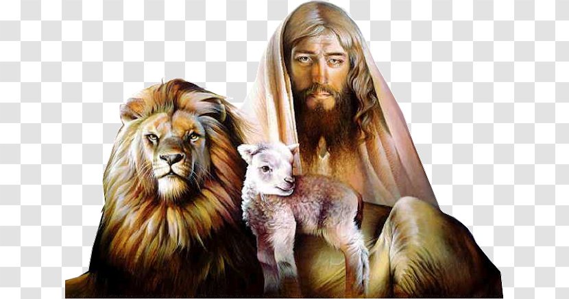 Jesus Lion Of Judah Bible Book Revelation - Wildlife Transparent PNG