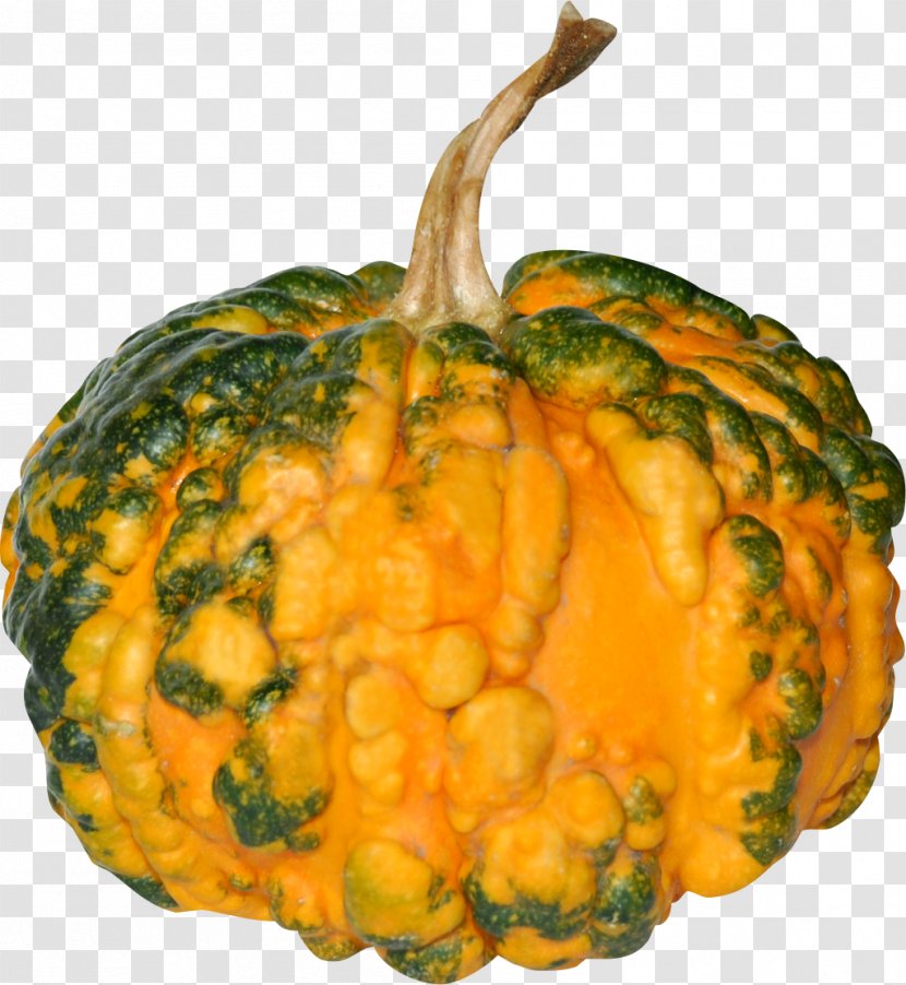 Vegetable Cucurbita Pumpkin Food Squash - Calabaza Transparent PNG