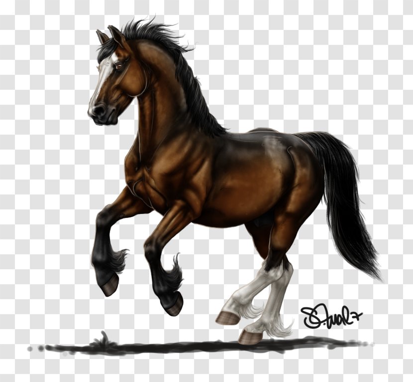 Mane Mustang Stallion Mare Bridle - Horse Like Mammal Transparent PNG