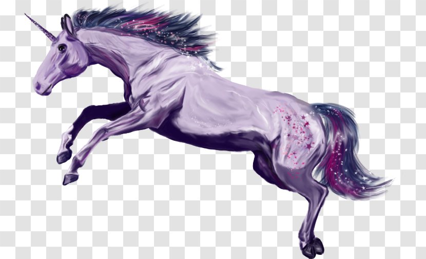 Mane Mustang Pony Stallion Unicorn - Horse Tack Transparent PNG