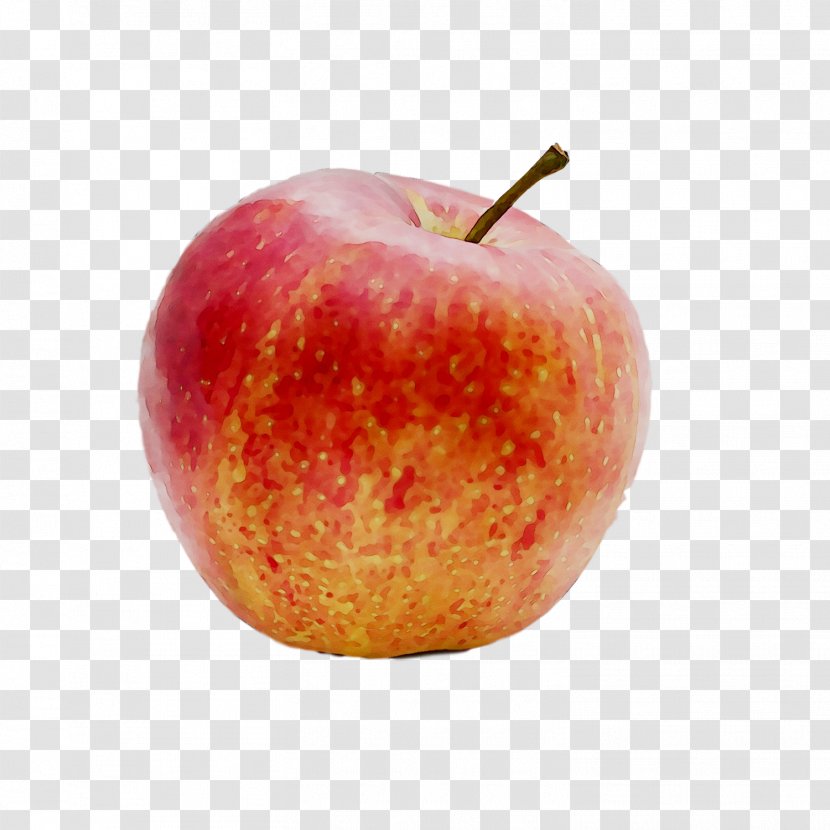 Apples Accessory Fruit Food Transparent PNG
